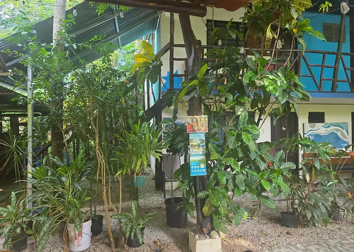 Cabinas Del Mar Hostel *